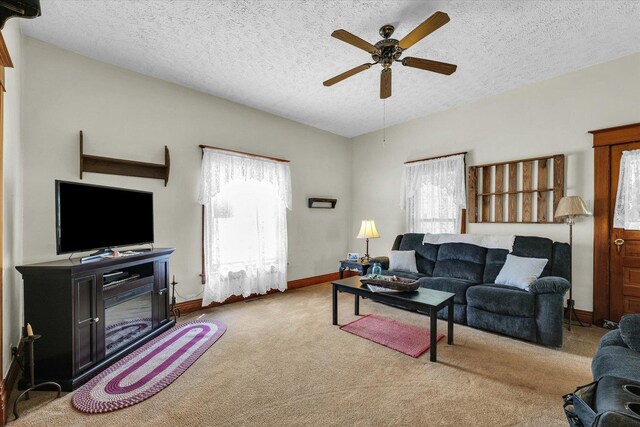 112 4th St, Ivesdale, IL 61851 - photo 29