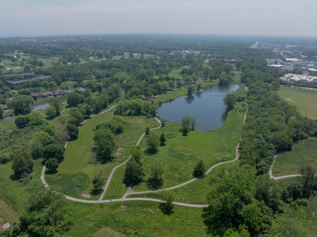 1064 Livingston Ave, Highland Park, IL 60035 - photo 40