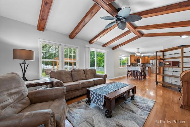 987 Split Rail Dr, Carol Stream, IL 60188 - living area with light wood-style flooring and ceiling fan