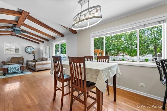 987 Split Rail Dr, Carol Stream, IL 60188 - dining space with light wood-style floors and a ceiling fan