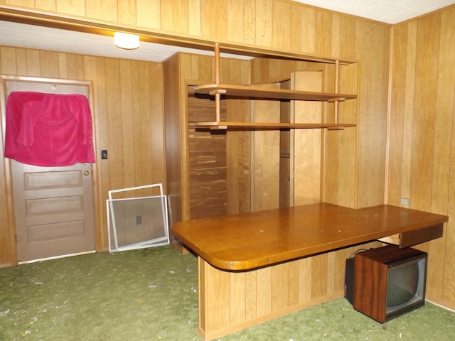 1412 11th Ave, Sterling, IL 61081 - unfurnished office with wooden walls and carpet