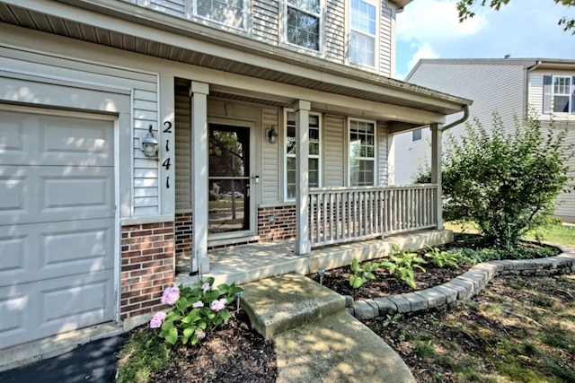 2141 Bluemist Dr, Aurora, IL 60504 - property entrance with a porch, a garage, and brick siding