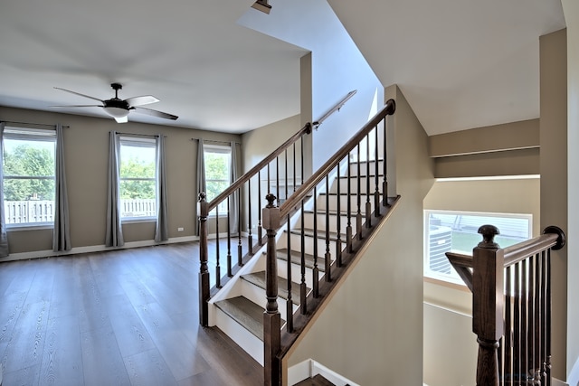 2141 Bluemist Dr, Aurora, IL 60504 - stairway with plenty of natural light, wood finished floors, and a ceiling fan