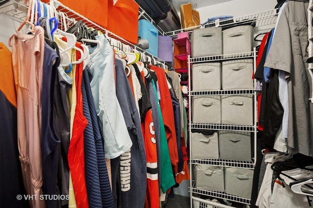 30W020 Mayfair Ct Unit 20, Warrenville, IL 60555 - view of spacious closet