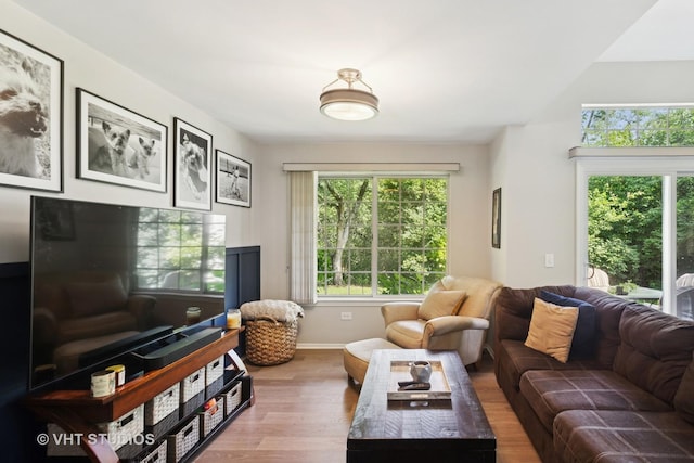 30W020 Mayfair Ct Unit 20, Warrenville, IL 60555 - living room with wood finished floors and healthy amount of natural light