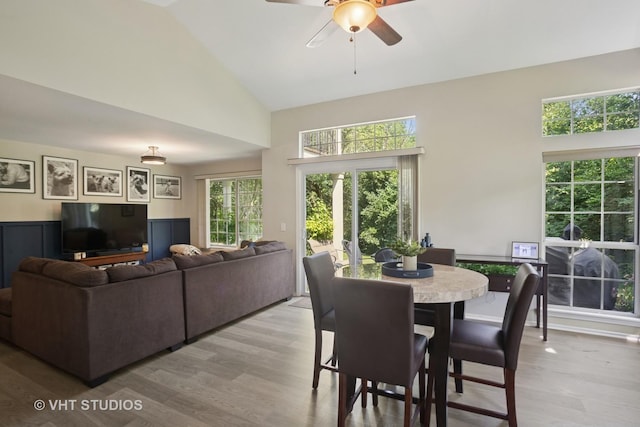 30W020 Mayfair Ct Unit 20, Warrenville, IL 60555 - dining area with high vaulted ceiling, light wood finished floors, a ceiling fan, and healthy amount of natural light