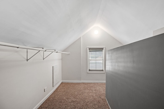 26050 S Locust Pl, Monee, IL 60449 - spacious closet featuring vaulted ceiling and carpet flooring