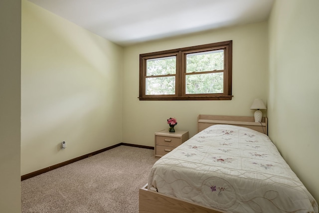9S339 Cumnor Rd, Downers Grove, IL 60516 - bedroom with carpet floors and baseboards