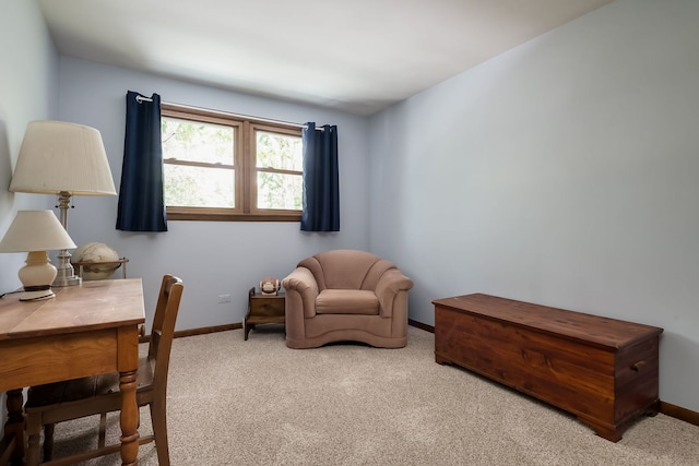 9S339 Cumnor Rd, Downers Grove, IL 60516 - office featuring carpet floors and baseboards