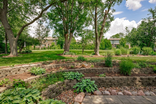 9S339 Cumnor Rd, Downers Grove, IL 60516 - view of grassy yard