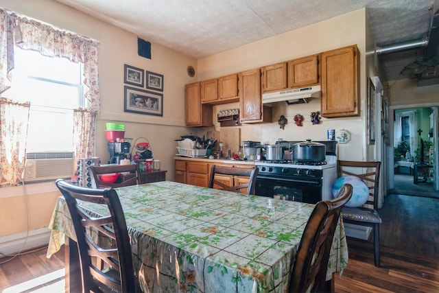 2710 W 18th St, Chicago, IL 60608 - photo 5