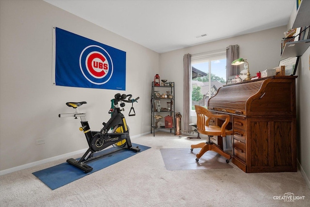 1703 Lakecliffe Dr Unit D, Wheaton, IL 60189 - exercise area with carpet floors