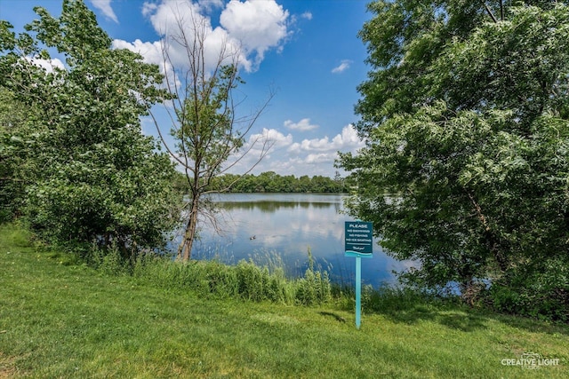1703 Lakecliffe Dr Unit D, Wheaton, IL 60189 - water view