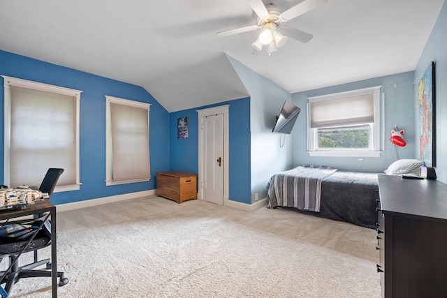 13805 Sharp Dr, Plainfield, IL 60544 - photo 18
