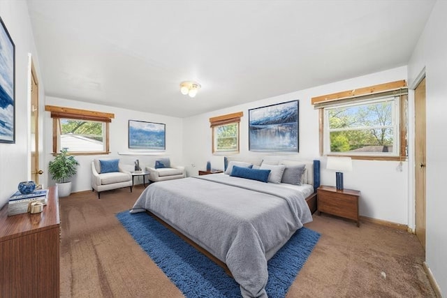 17714 Dogwood Ln, Hazel Crest, IL 60429 - bedroom featuring carpet