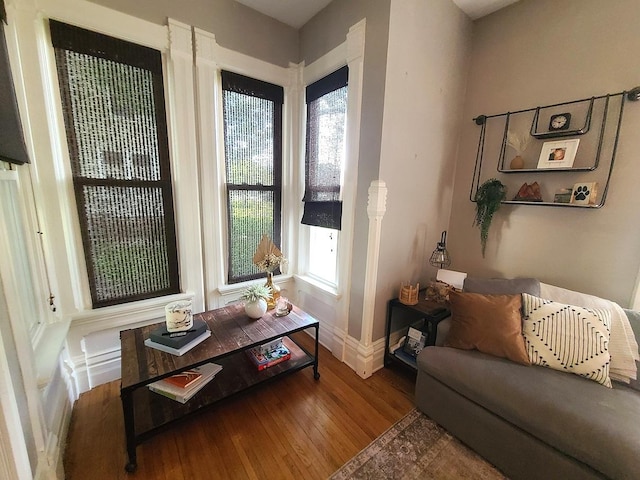 313 S 4th St, Oregon, IL 61061 - living area featuring wood-type flooring and plenty of natural light