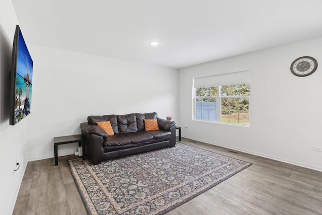 1917 Turtle Creek Ct, Aurora, IL 60503 - living room with wood finished floors and recessed lighting
