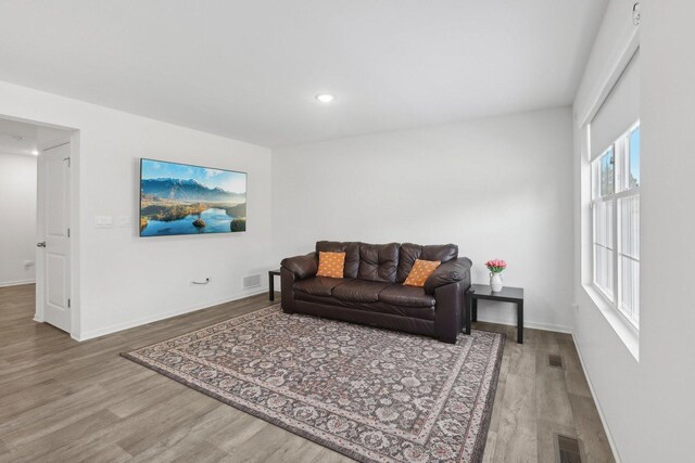 1917 Turtle Creek Ct, Aurora, IL 60503 - living room with wood finished floors and recessed lighting