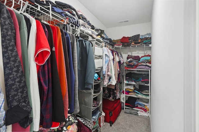 1917 Turtle Creek Ct, Aurora, IL 60503 - walk in closet with carpet