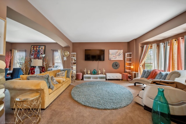 26200 W Chatham Dr, Plainfield, IL 60585 - living room featuring carpet floors