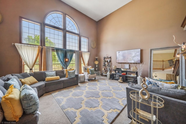 26200 W Chatham Dr, Plainfield, IL 60585 - carpeted living room featuring a high ceiling