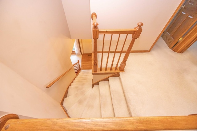 14803 S Hawthorn Cir, Plainfield, IL 60544 - staircase with carpet