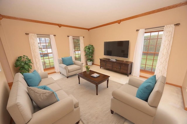14803 S Hawthorn Cir, Plainfield, IL 60544 - living room with ornamental molding, healthy amount of natural light, and carpet floors