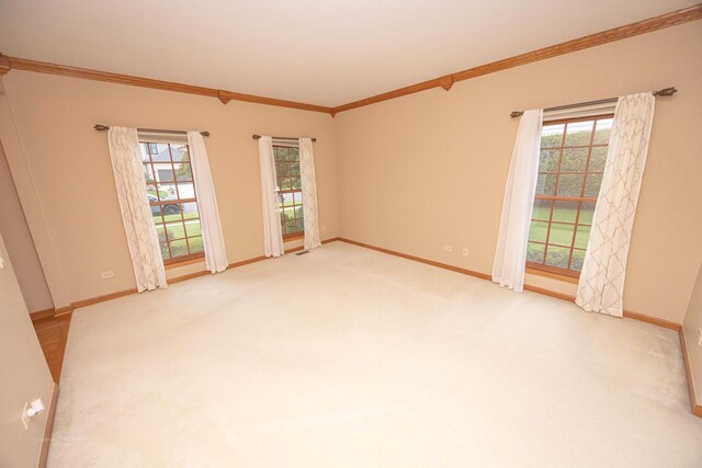 14803 S Hawthorn Cir, Plainfield, IL 60544 - carpeted empty room with ornamental molding and healthy amount of natural light