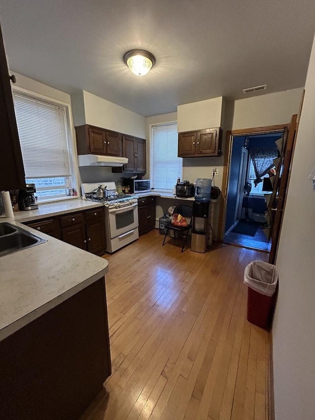 3247 W Berteau Ave, Chicago, IL 60618 - kitchen with gas range gas stove, under cabinet range hood, dark brown cabinetry, light countertops, and light wood finished floors