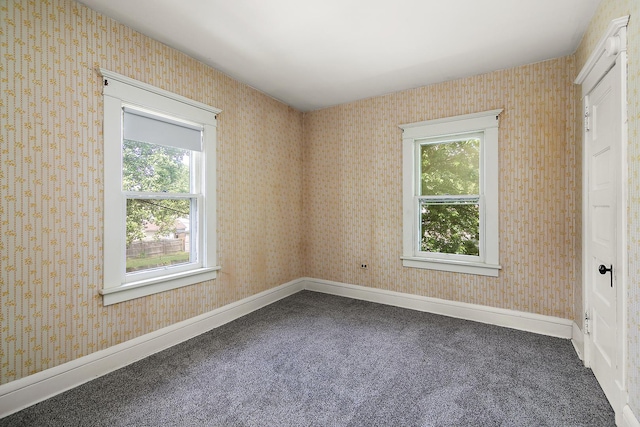 866 S Evergreen Ave, Kankakee, IL 60901 - carpeted empty room featuring healthy amount of natural light