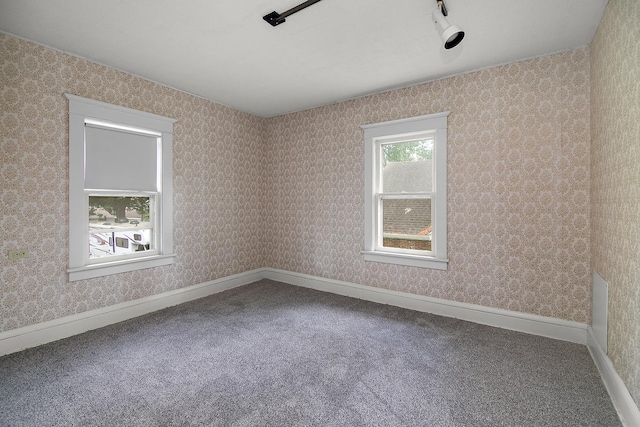 866 S Evergreen Ave, Kankakee, IL 60901 - unfurnished room with carpet floors