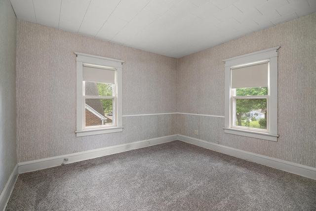 866 S Evergreen Ave, Kankakee, IL 60901 - carpeted spare room with baseboards