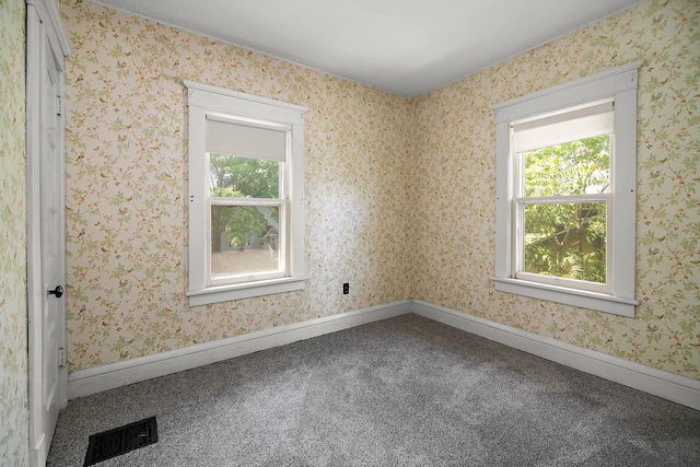 866 S Evergreen Ave, Kankakee, IL 60901 - unfurnished room featuring carpet