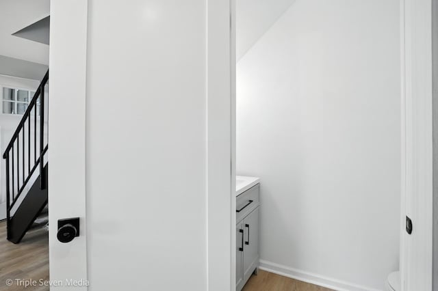 10 Cour Masson Unit 10, Palos Hills, IL 60465 - bathroom with vanity and wood finished floors