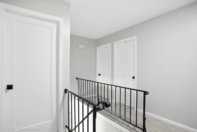 10 Cour Masson Unit 10, Palos Hills, IL 60465 - hall with an upstairs landing and carpet flooring