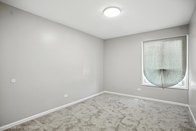 10 Cour Masson Unit 10, Palos Hills, IL 60465 - carpeted empty room with baseboards