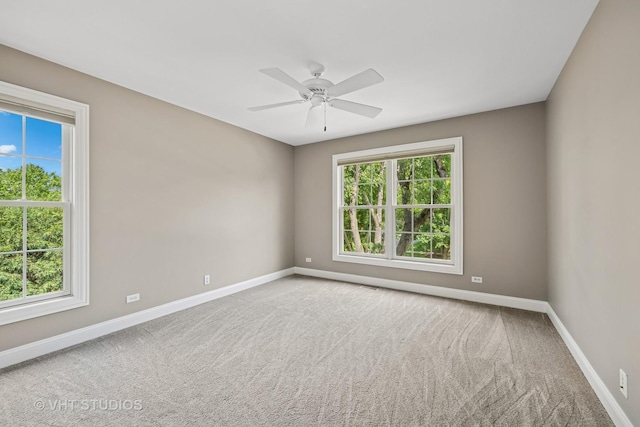 605 Red Cypress Dr, Cary, IL 60013 - spare room with healthy amount of natural light, carpet floors, and ceiling fan