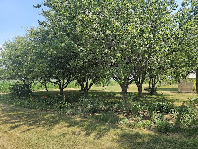9015 W Joliet Rd, Peotone, IL 60468 - photo 35