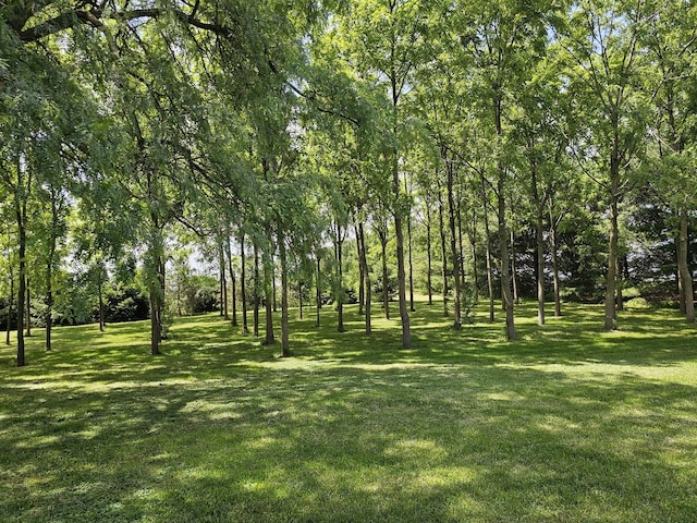 9015 W Joliet Rd, Peotone, IL 60468 - photo 36