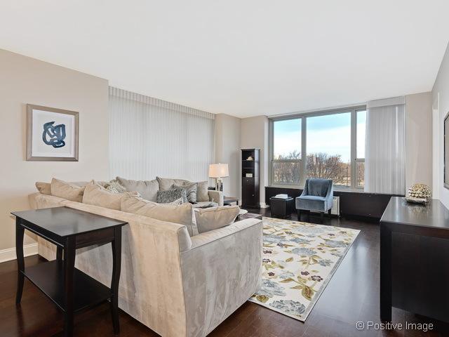1550 N Lake Shore Dr Unit 3G, Chicago, IL 60610 - living room with dark wood-style flooring