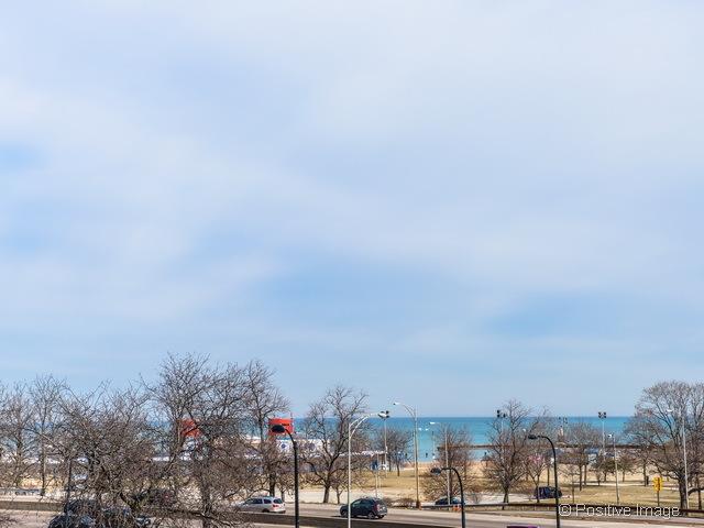 1550 N Lake Shore Dr Unit 3G, Chicago, IL 60610 - view of home's community with a water view