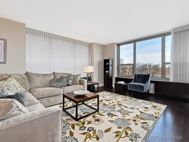1550 N Lake Shore Dr Unit 3G, Chicago, IL 60610 - living room featuring wood finished floors and radiator heating unit
