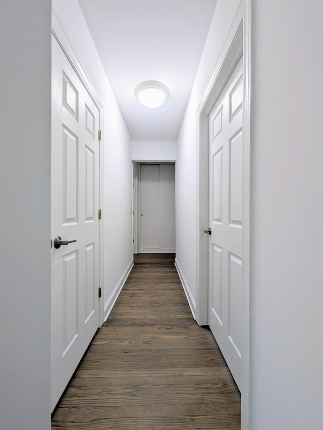 5655 N Spaulding Ave Unit 2W, Chicago, IL 60659 - hallway featuring dark wood finished floors and baseboards