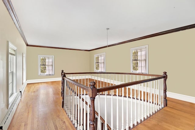 29460 Roberts Rd, Mchenry, IL 60051 - hallway with a baseboard heating unit, an upstairs landing, crown molding, light wood-style flooring, and plenty of natural light