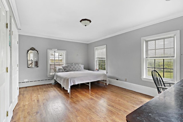 29460 Roberts Rd, Mchenry, IL 60051 - bedroom with a baseboard heating unit, crown molding, multiple windows, and wood finished floors