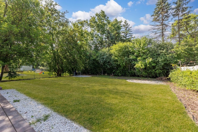 3317 Birchwood Dr, Hazel Crest, IL 60429 - view of grassy yard