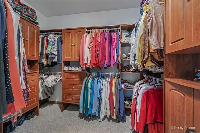 2519 Imgrund Rd, North Aurora, IL 60542 - spacious closet featuring carpet floors