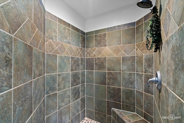40W379 E Laura Ingalls Wilder Rd, Saint Charles, IL 60175 - bathroom with a tile shower
