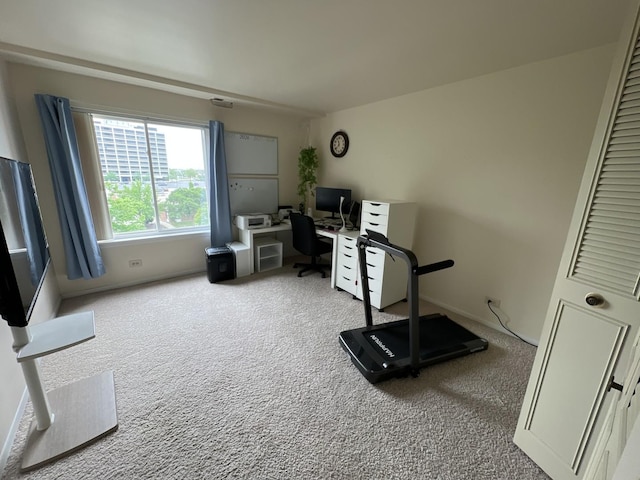 900 E Wilmette Rd Unit 411, Palatine, IL 60074 - office area featuring carpet