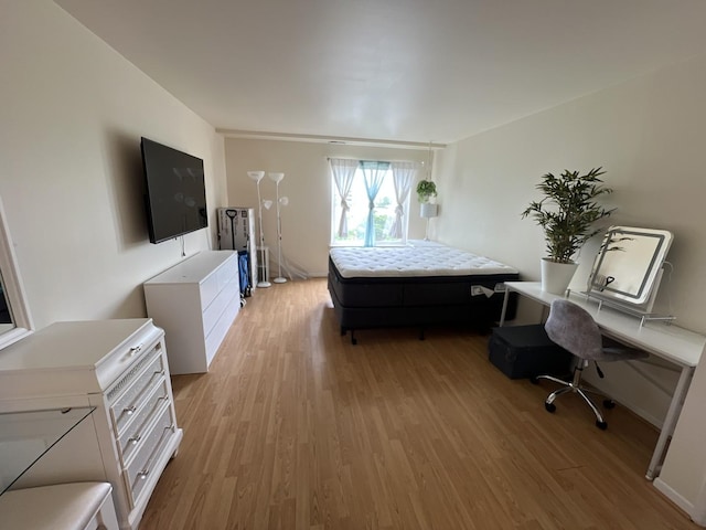 900 E Wilmette Rd Unit 411, Palatine, IL 60074 - bedroom featuring light wood-style floors